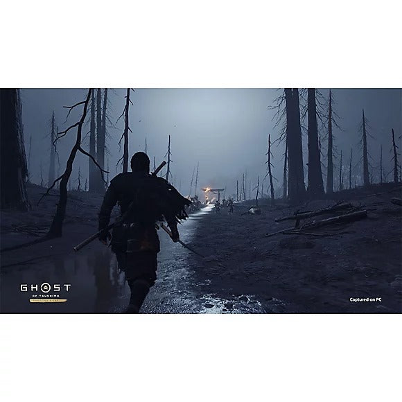Ghost of Tsushima Directors Cut Digital Code PC